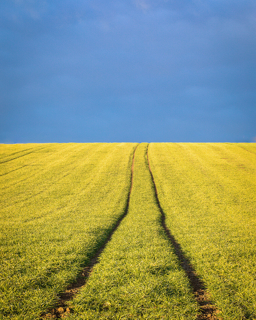 Tractor track in the field, Bavaria, Germany