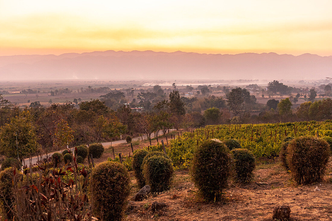 Evening mood at the Red Mountain Winery, Inle Lake, Heho, Myanmar