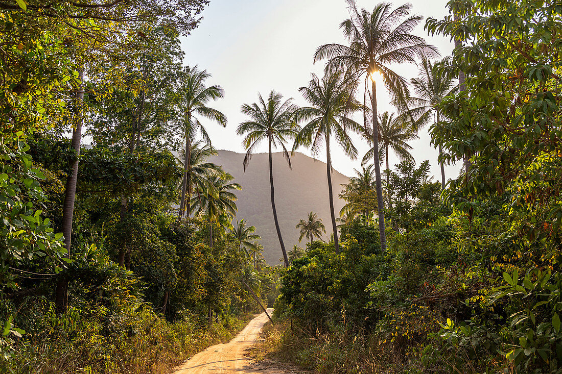 Steiler Weg in Richtung Bottle Beach im Nordosten von Koh Phangan, Thailand