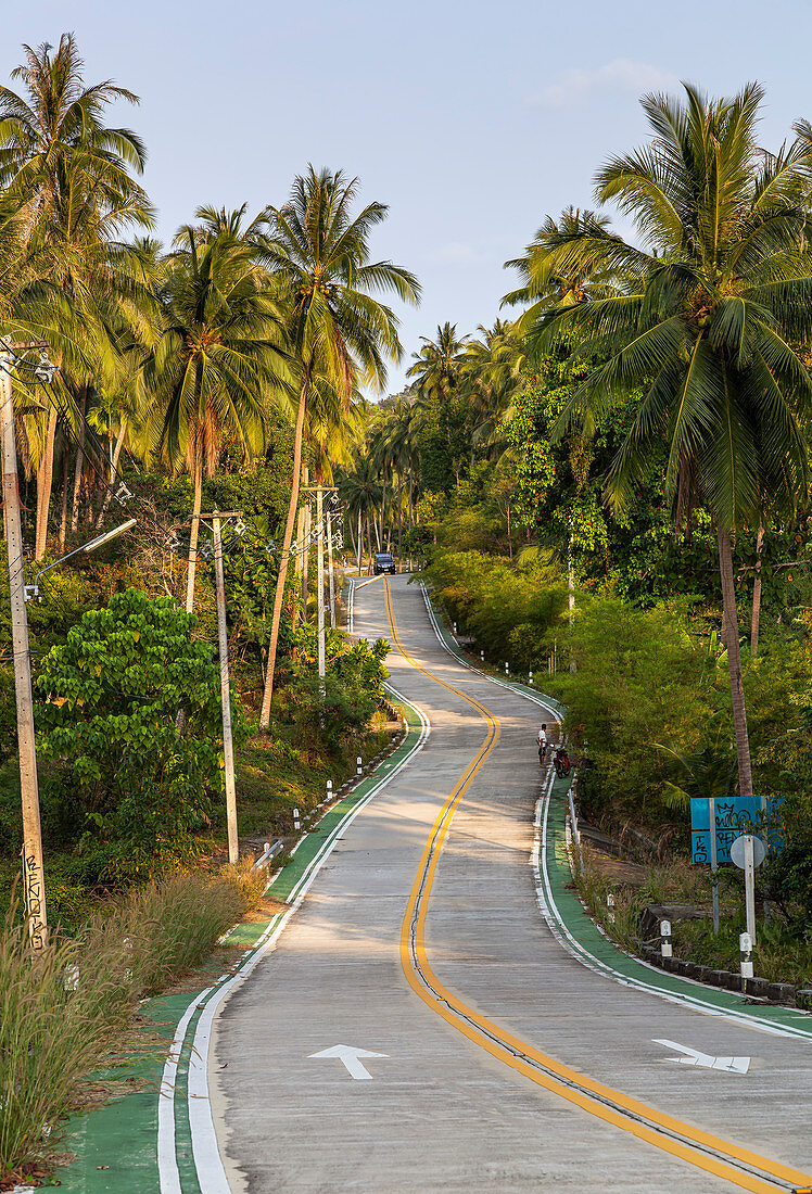 Mit Palmen gesäumte Straße Richtung Than Sadet Nationalpark, Koh Phangan, Thailand