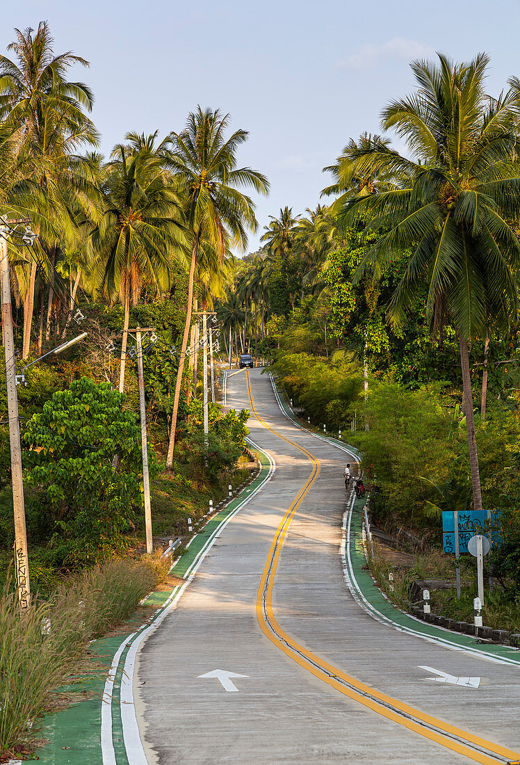 Palm-lined road towards Than Sadet National Park, Koh Phangan. Thailand