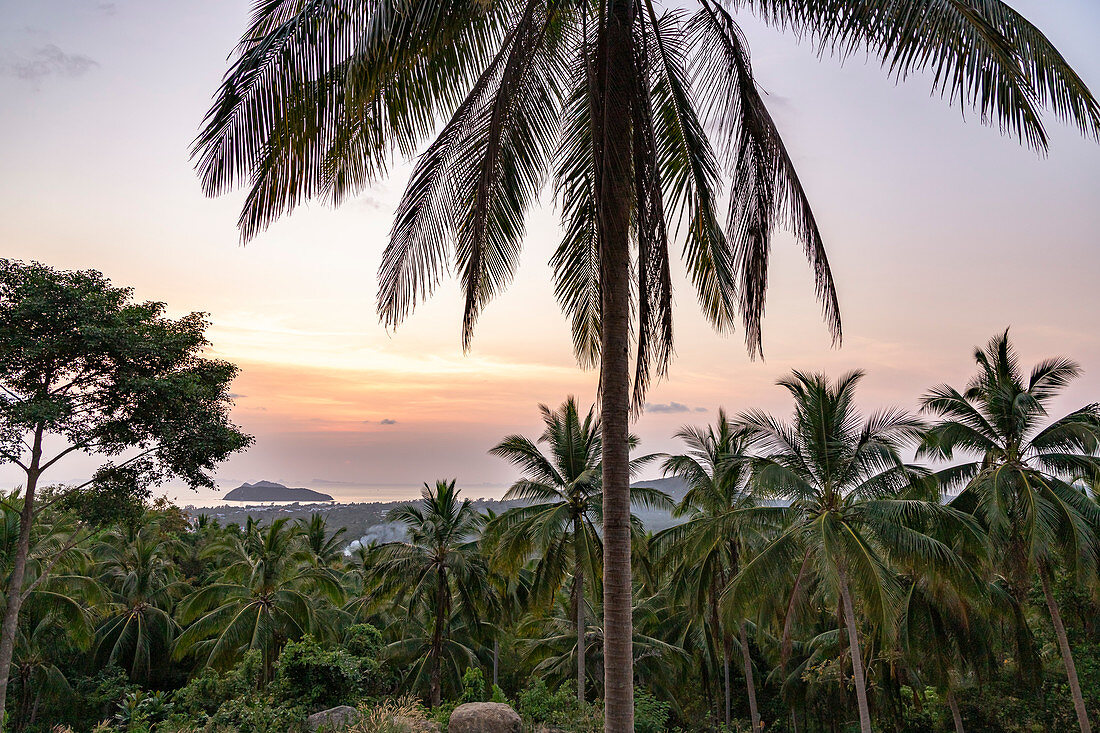 Sonnenuntergang mit Blick über Palmen im Süden von Koh Phangan, Thailand