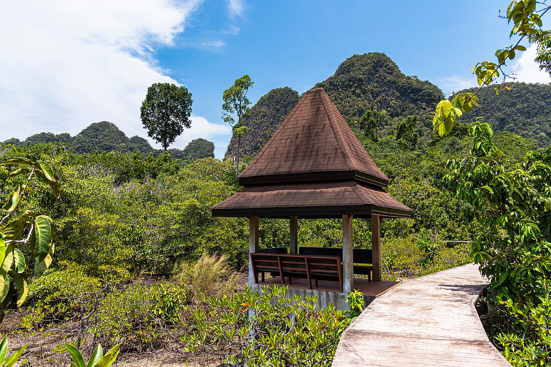 Dschungelpfad an den Tha Pom Klong Song Nam Quellen, Krabi Region, Thailand