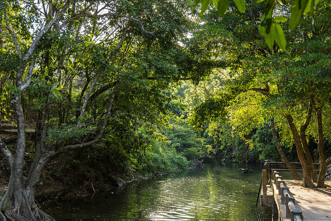 Krabi Hot Springs - Heiße Quellen, Krabi Region, Thailand