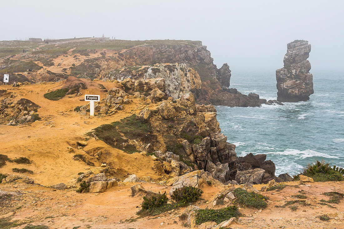 Gesteinsformationen "Papoa" auf Halbinsel Peniche bei leichtem Nebel, Peniche, Portugal