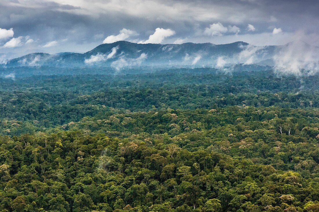 Frankreich, Guayana, Amazonaspark Französisch-Guyana, Kerngebiet, die Regenzeit, die Amazonas-Ebene, ihre Nebel und Stürme, vom Transporthubschrauber der wissenschaftlichen Mission Itoupé aus (Luftaufnahme)