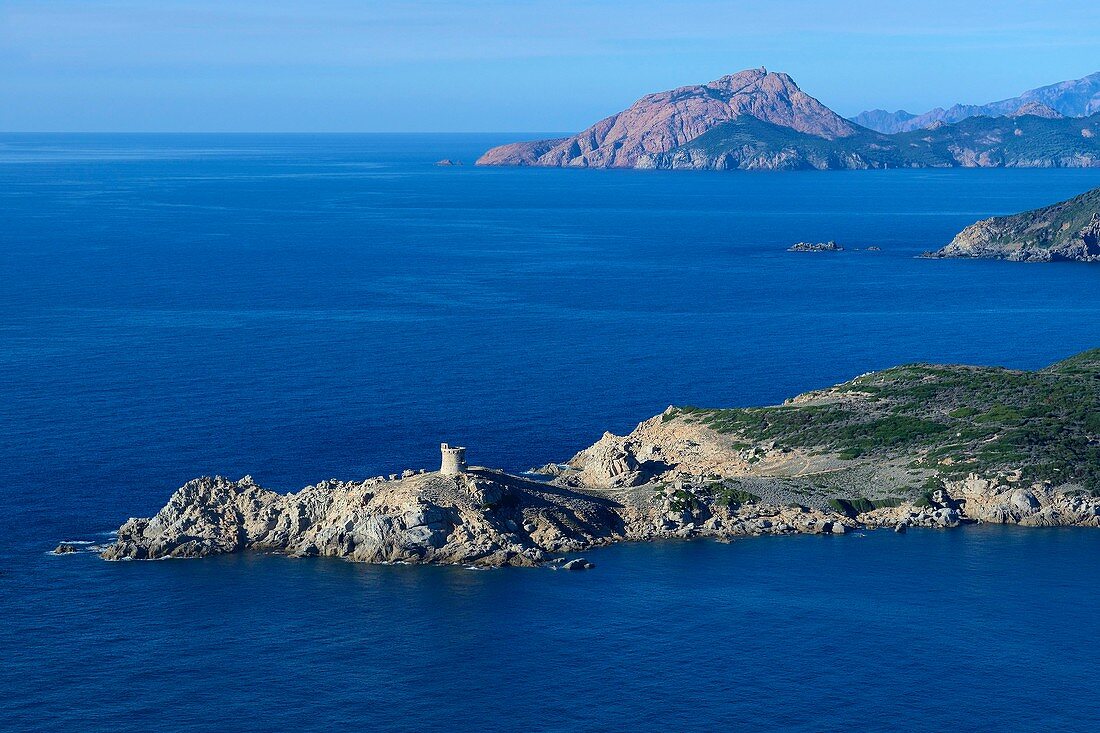 France, Corse du Sud, Cargese, the Genoese tower of the point of Omigna and the Capo Rosso in the background (aerial view)