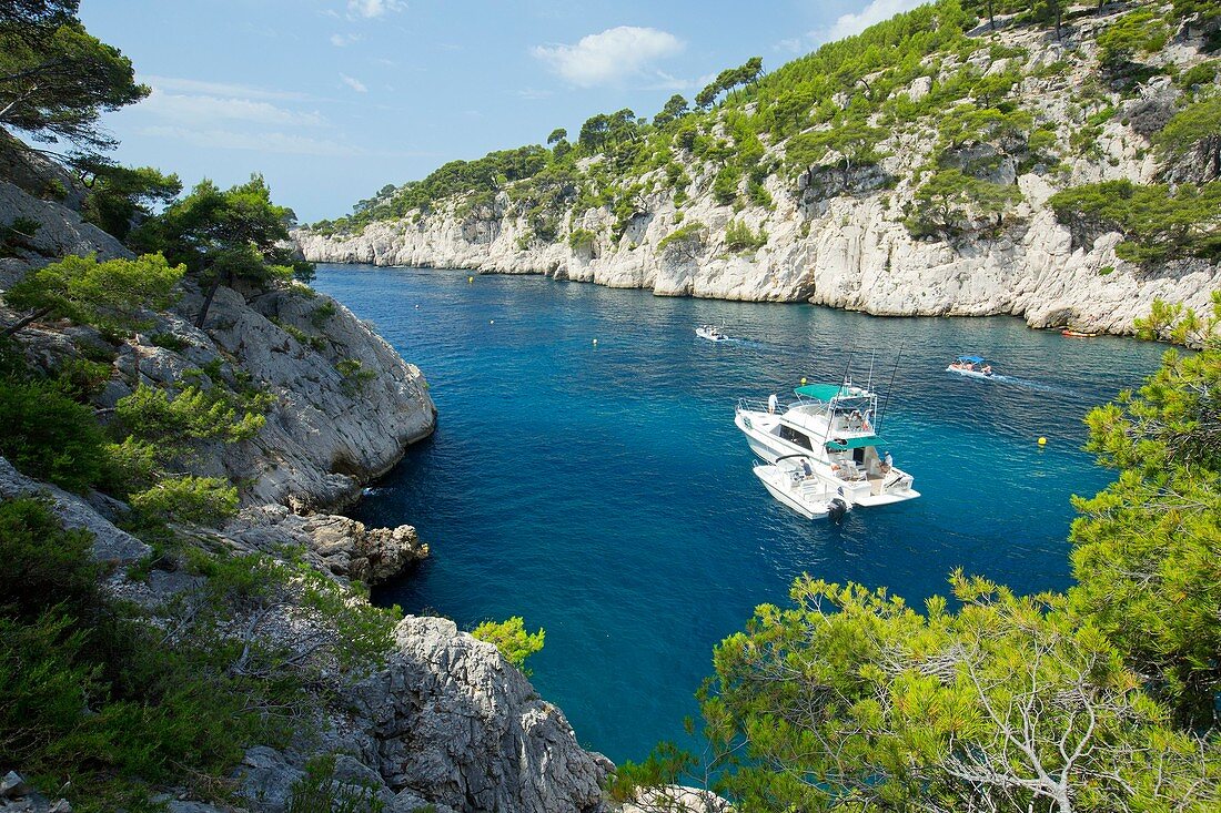 France, Bouches du Rhone, National Park Calanques, Cassis, creek of Port Pin