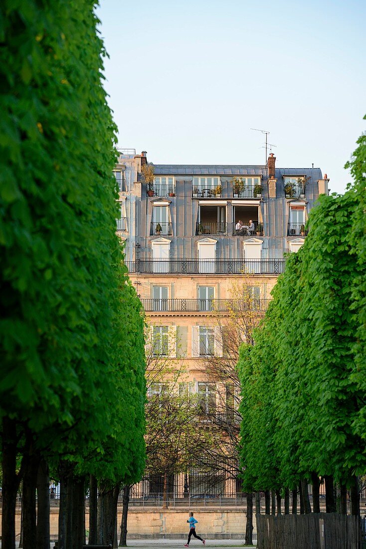 France, Paris, area listed as World Heritage by UNESCO, a couple on their balcony along the Rue de Rivoli and a jogger seen from the Tuileries gardens