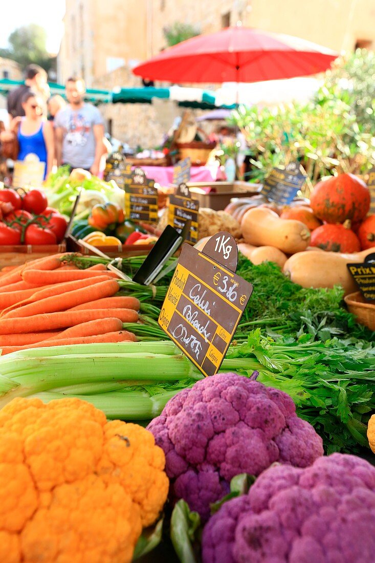 Frankreich, Corse-du-Sud, Porto Vecchio, Sonntagsmarkt, Bio-Gemüse aus Fozzano