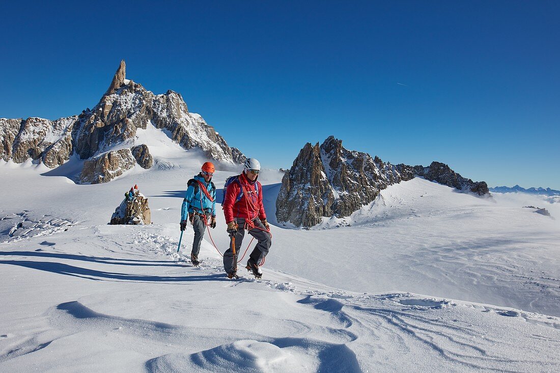 Frankreich, Haute-Savoie, Chamonix, Alpinisten auf dem Kamm des Petit Flambeau (3440 m), Mont-Blanc-Massiv