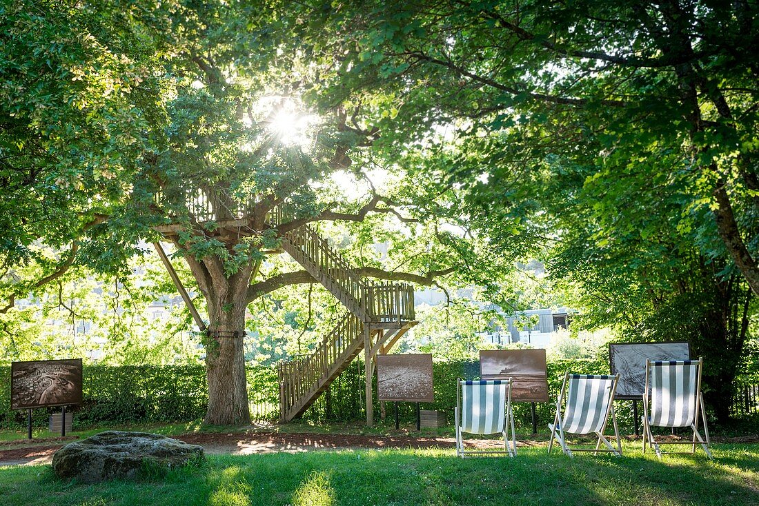 Frankreich, Morbihan, La Gacilly, Sonnenliegen während des Festivals