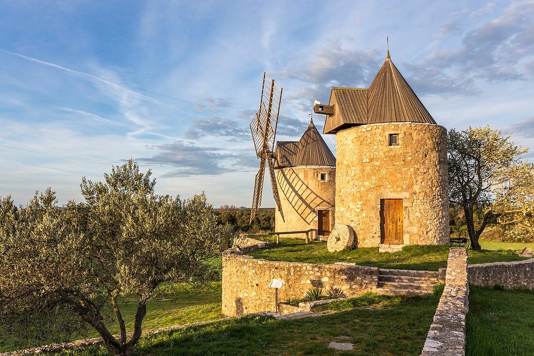 France, Var, Regusse, both windmills of Regusse restored in 1995