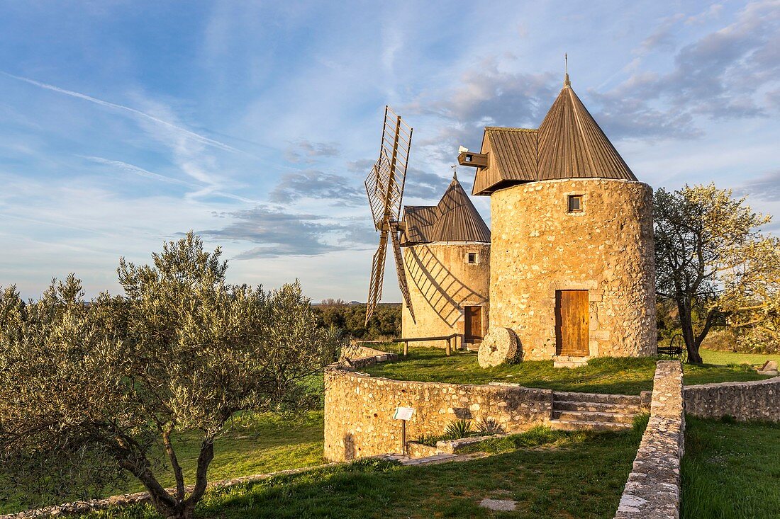 Frankreich, Var, Regusse, beide Windmühlen von Regusse wurden 1995 restauriert