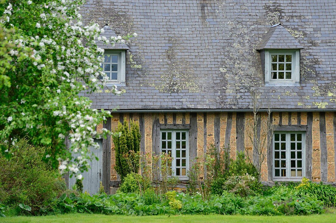 France, Orne, Saint Aubin de Bonneval, La Hérissonnière manor, bed and breakfast