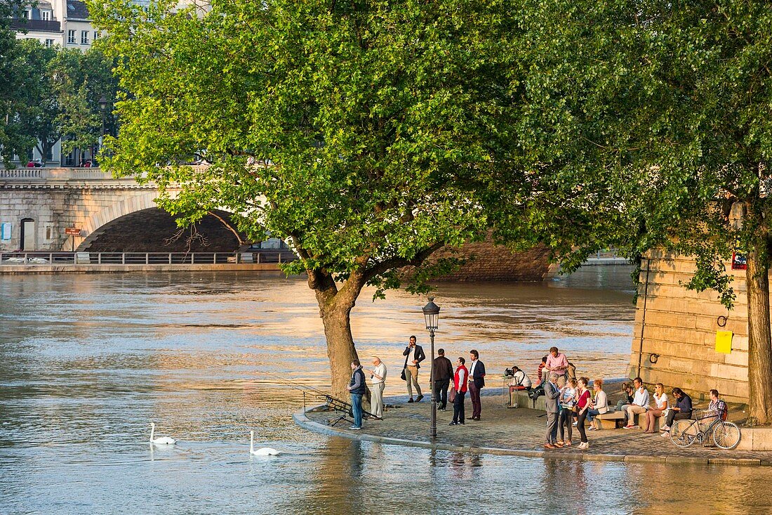 Frankreich, Paris, die Ufer der Seine, von der UNESCO zum Weltkulturerbe erklärt, die Flut der Seine vom 3. Juni 2016, Überschwemmung auf der Insel Saint Louis