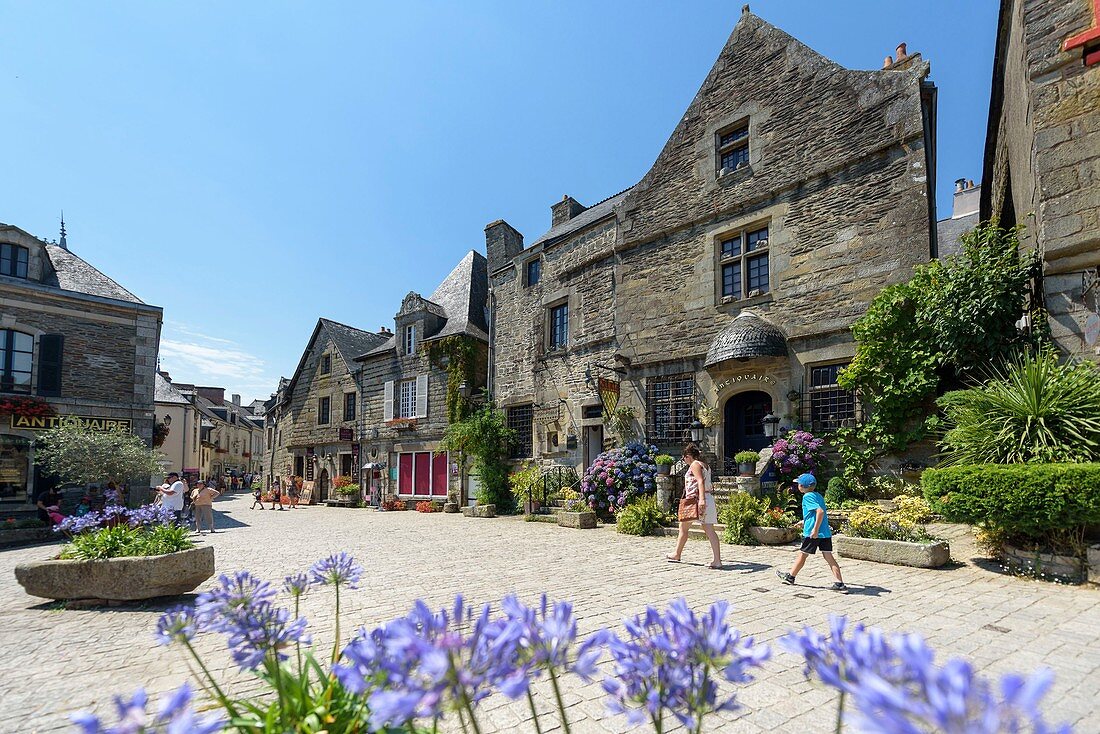 France, Morbihan, Rochefort en Terre, labelled Les Plus Beaux Villages de France (The Most Beautiful Villages of France), castel street