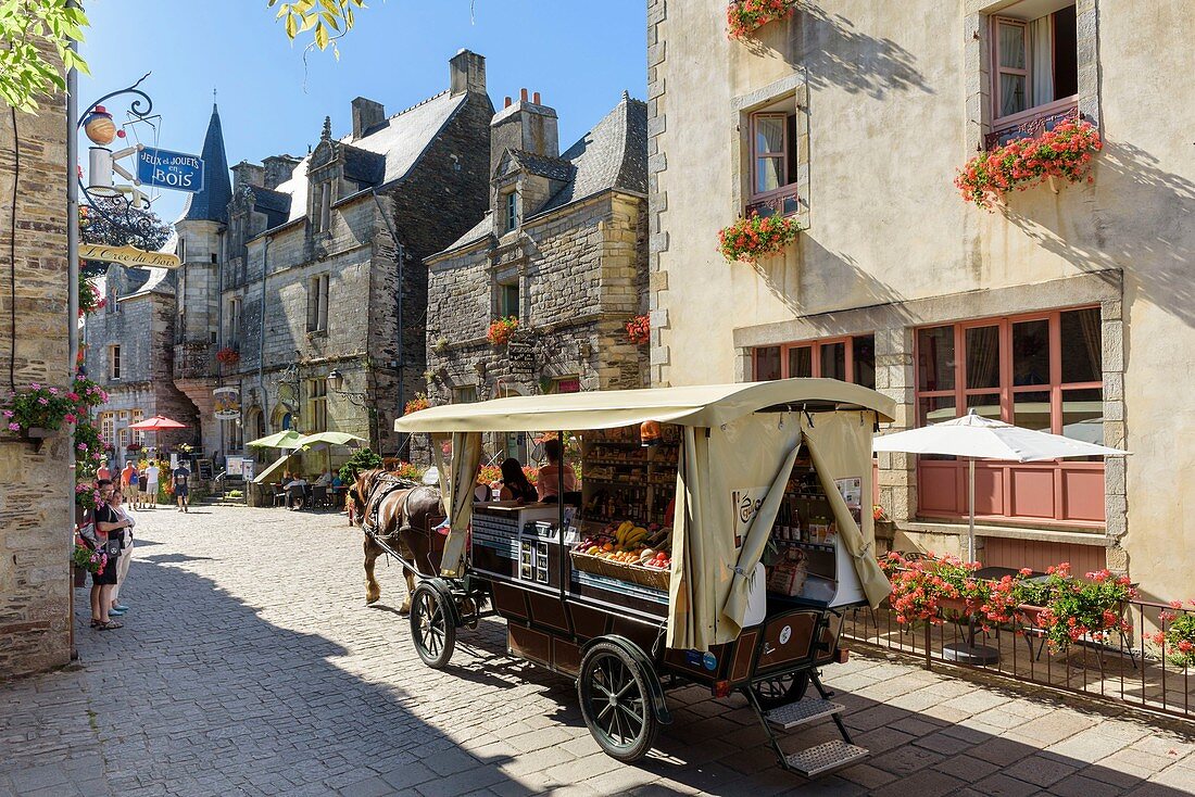France, Morbihan, Rochefort en Terre, labelled Les Plus Beaux Villages de France (The Most Beautiful Villages of France), cariole horse in castle street