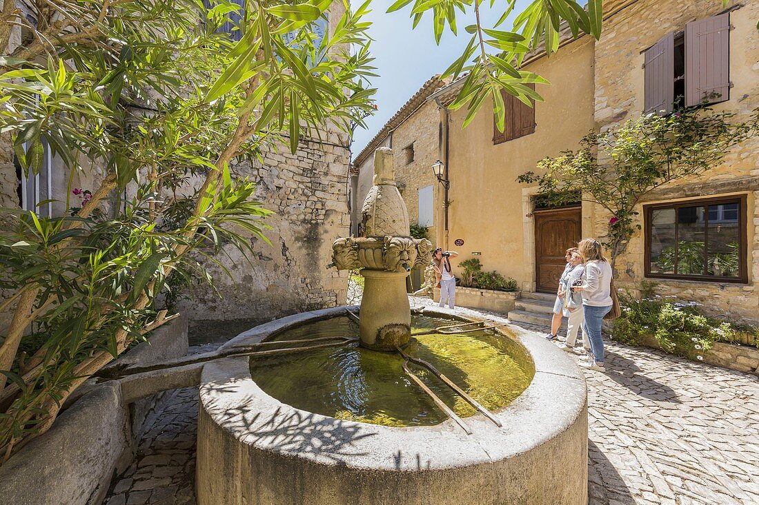 France, Vaucluse, Seguret, labelled Les Plus Beaux Villages de France (The Most Beautiful Villages of France), the Fontaine des Mascarons (fountain with grostesque mask) of the 15th century