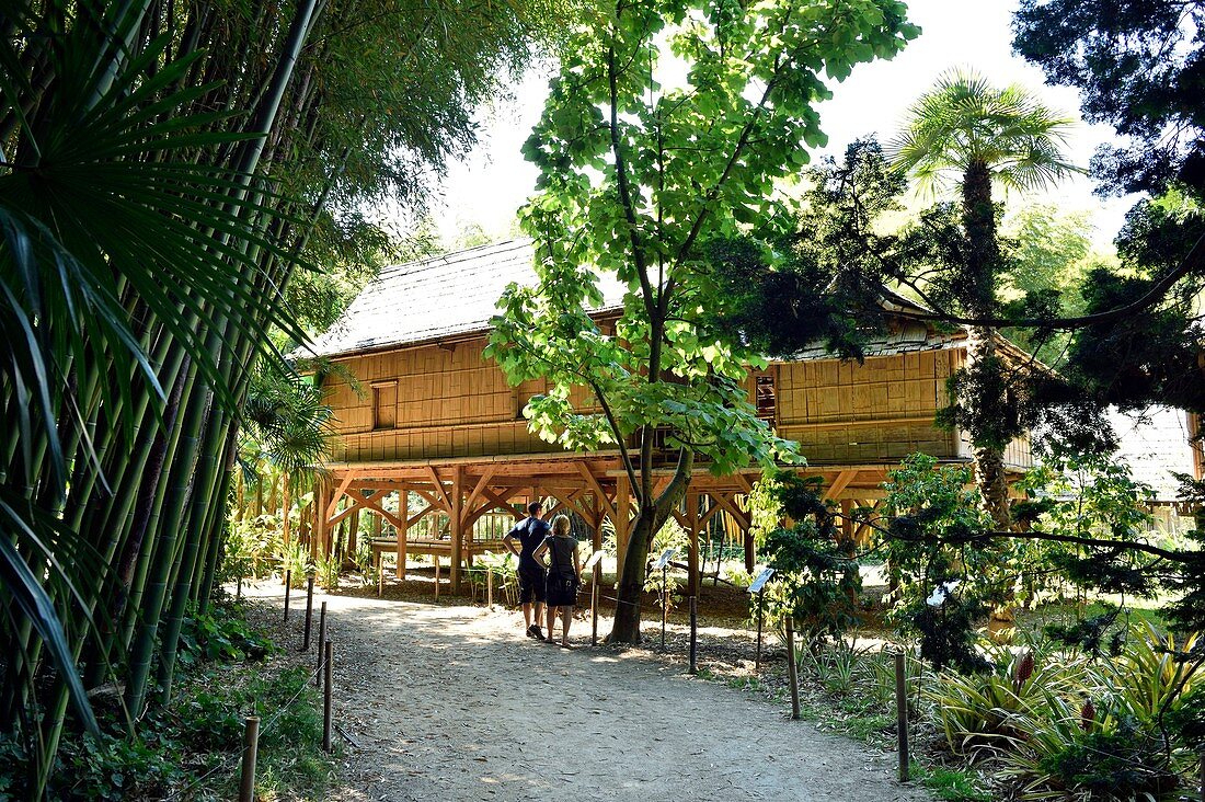 Frankreich, Gard, Anduze, die Bambusplantage von PraFrance, die 1856 unter dem Label Jardin Remarquable, einer Rekonstruktion eines laotischen Dorfes, angelegt wurde