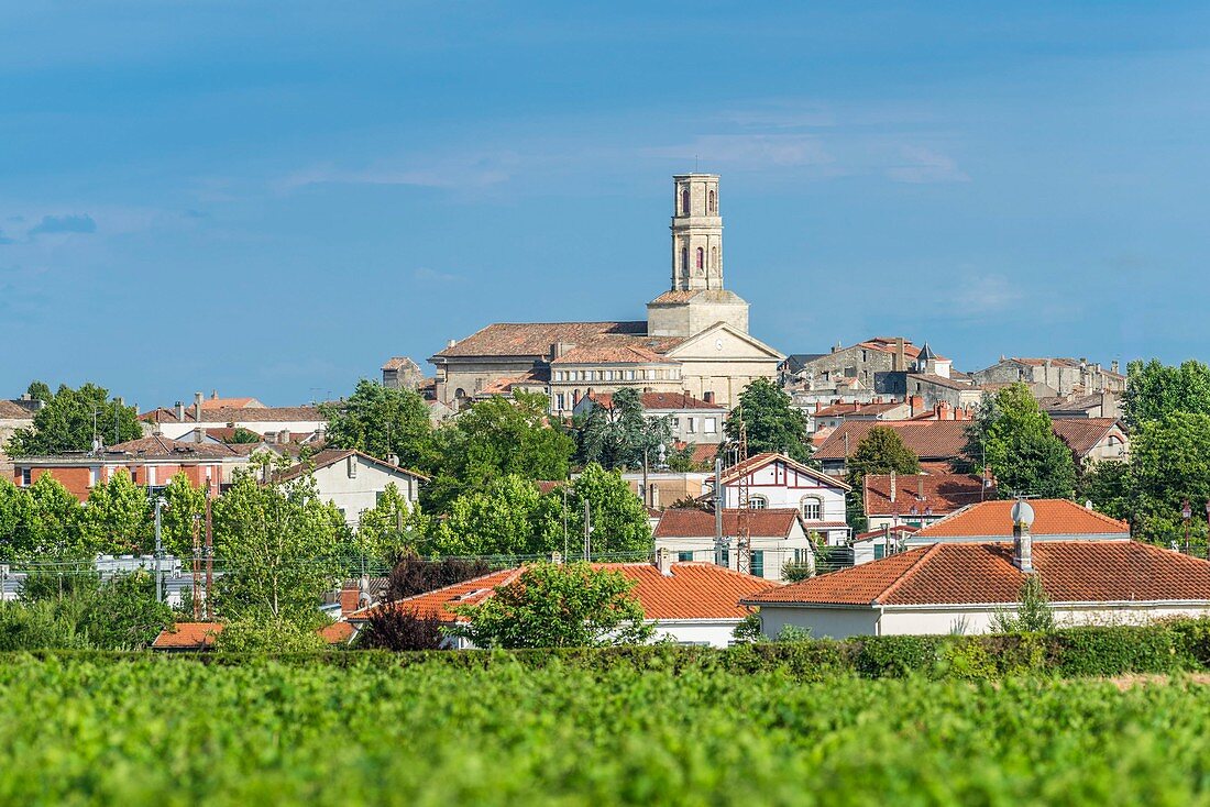 France, Gironde, Pauillac, 19th century Saint-Martin church