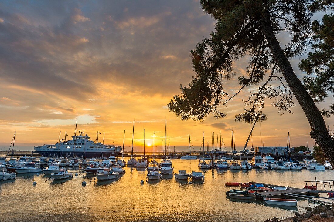 France, Gironde, Le Verdon sur Mer, little fishing harbour and marina of Port-Bloc at Pointe de Grave at sunrise