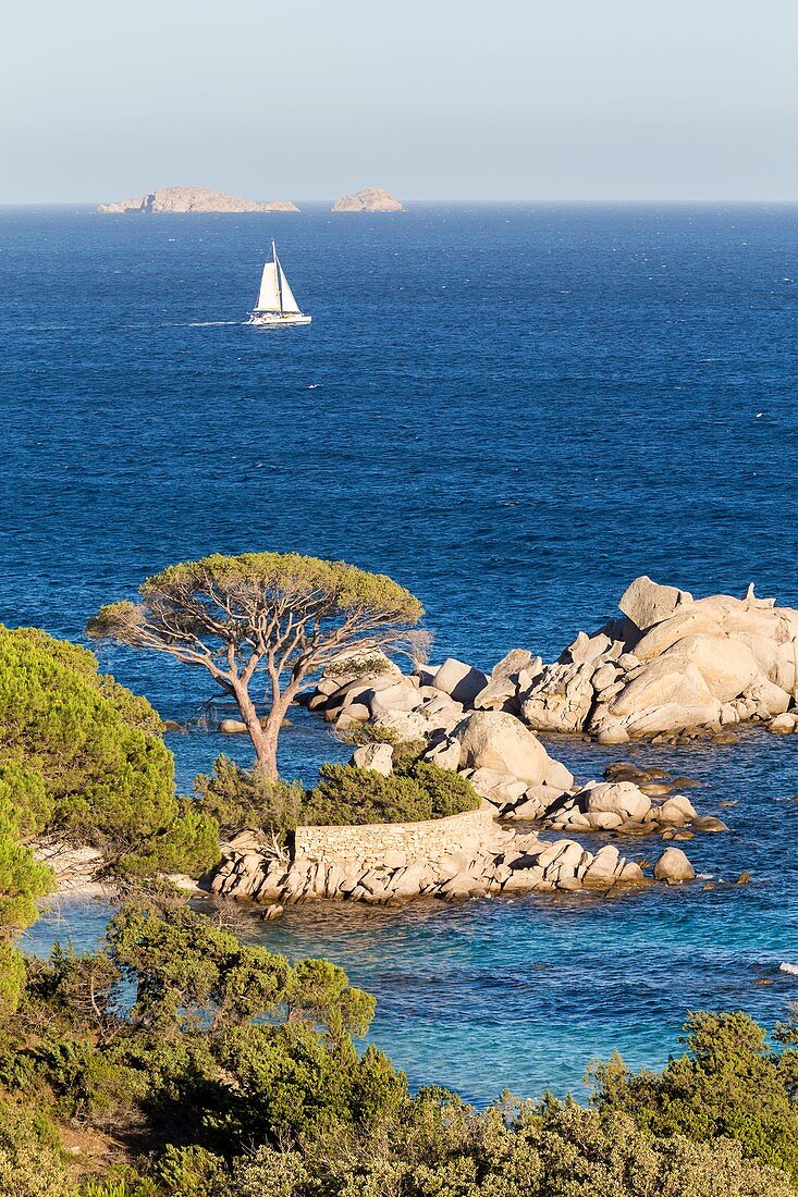 Frankreich, Corse-du-Sud, Porto Vecchio, Palombaggia, Granitfelsen am Strand von Tamaricciu