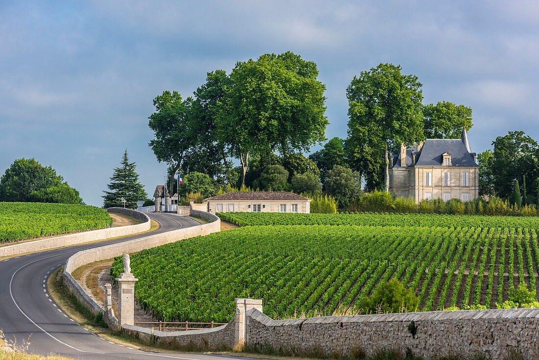 France, Gironde, Saint-Lambert, Medoc vineyard, Chateau Pichon Longueville Comtesse de Lalande, AOC Pauillac