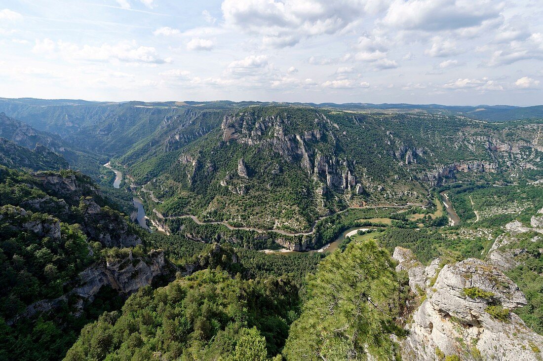 France, Lozere, the Causses and the Cevennes, Mediterranean agro pastoral cultural landscape, listed as World Heritage by UNESCO, the Gorges du Tarn, the St Chely circus