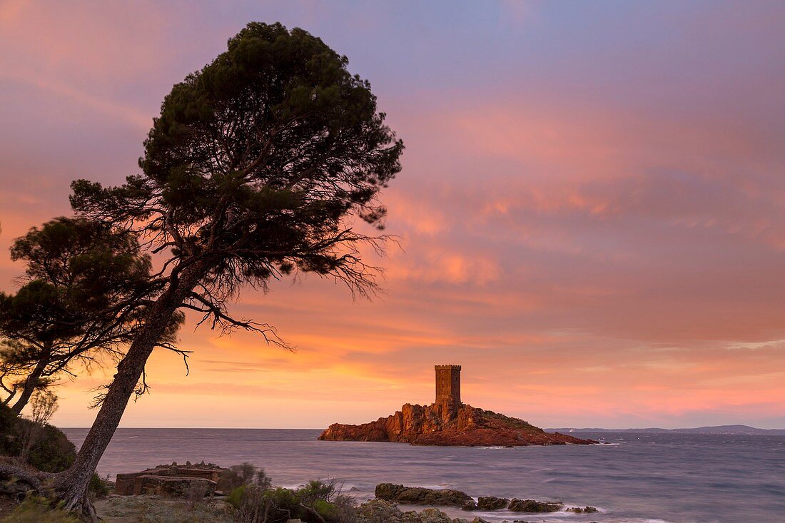 France, Var, Corniche de l'Esterel, Saint Raphael, Ile d'Or in front of the Cap du Dramont