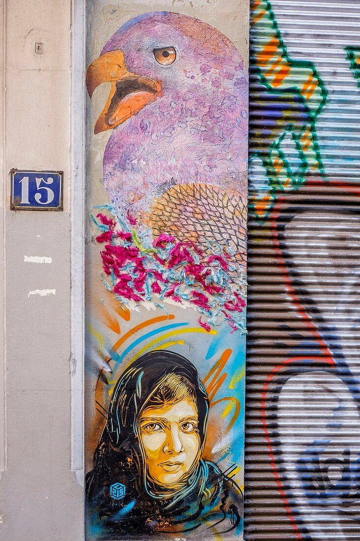 Frankreich, Isere, Grenoble, Street Art Fest, dutzende Künstler präsentieren sich in den Straßen der Stadt, Portrait von Malala Yousafzai (pakistanische Aktivistin für Frauenbildung und jüngste Nobelpreisträgerin aller Zeiten), Werk von C215, Rue Genissieu