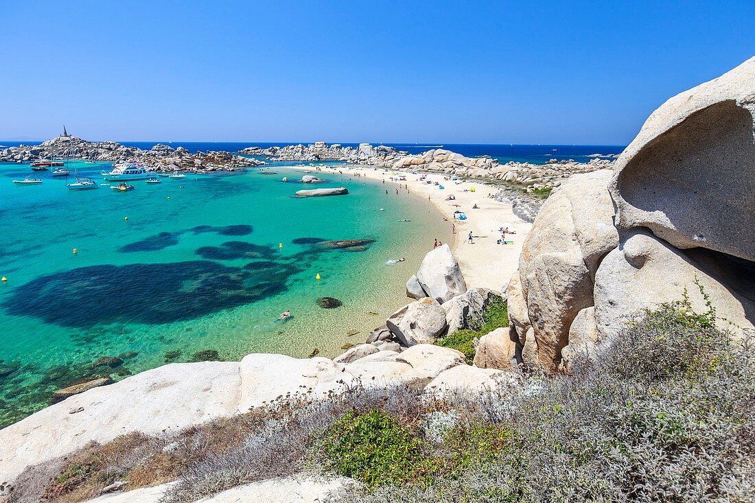 France, Corse du Sud, Bonifacio, Nature reserve of islands Lavezzi, beach of Cala di l' Achiarinu