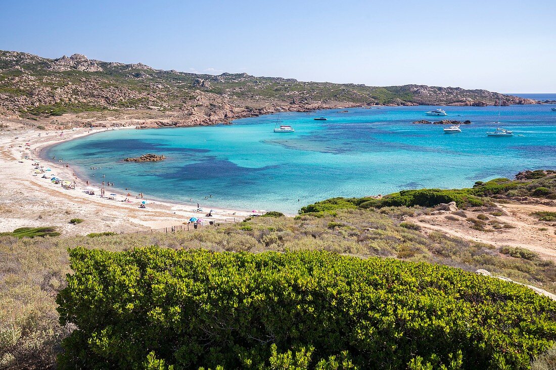 Frankreich, Corse-du-Sud, Bonifacio, Strand und türkisblaues Wasser in der Bucht von Stagnolu