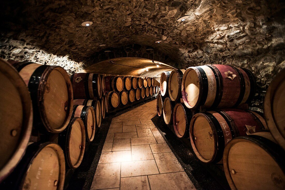 Frankreich, Rhone, Ampuis, Rhonetal, Weinanbaugebiet Côte du Rhone, Weinhänge Côte-Rôtie, Keller des Weinguts Guigal