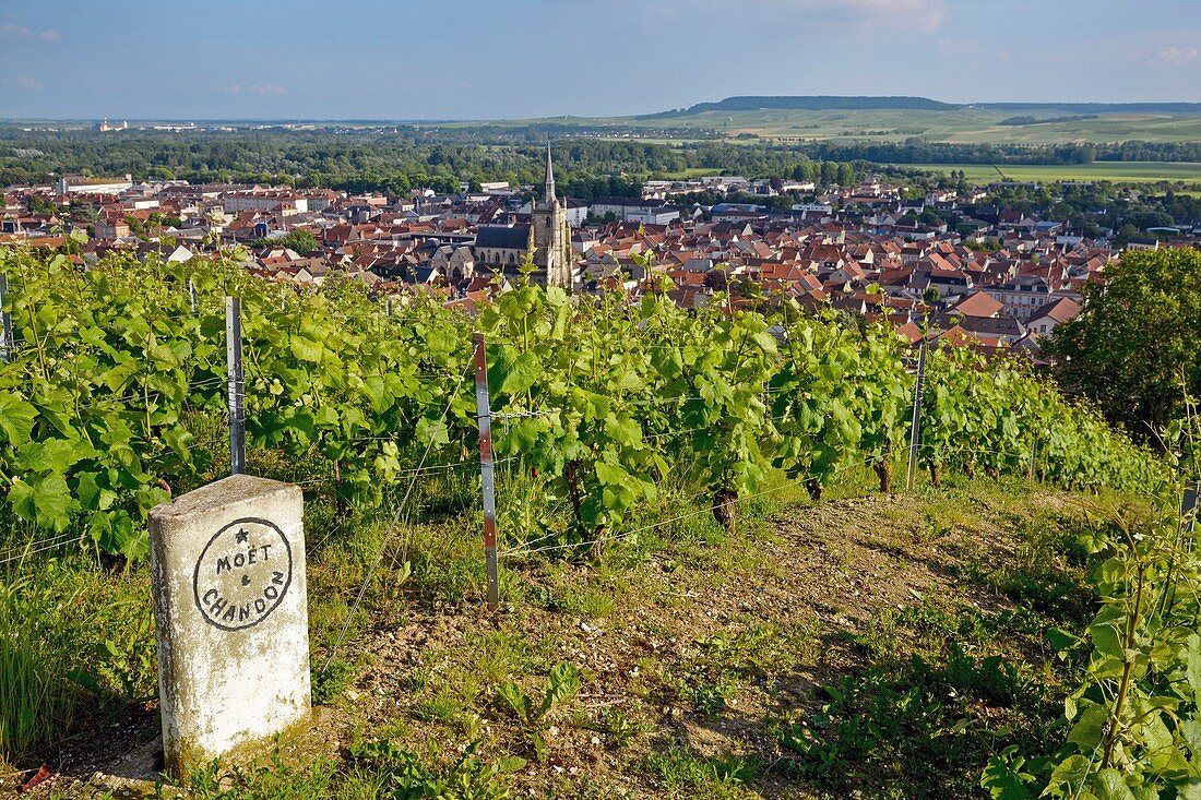 Frankreich, Marne, Ay, Marne-Tal, grenzüberschreitendes Grundstück in einem Weinberg der Champagne, UNESCO Weltkulturerbe, mit einem Dorf und einer Kirche im Hintergrund