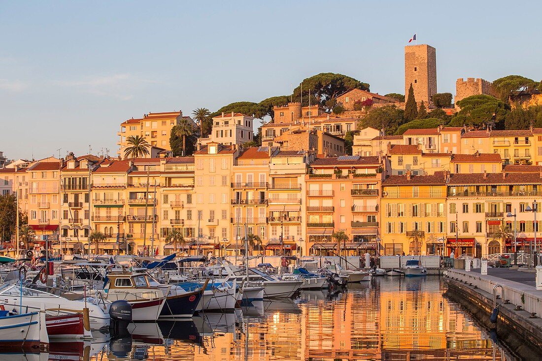 Frankreich, Alpes-Maritimes, Cannes, Stadtteil Le Suquet, alter Hafen, Fassade der Häuser des Kais Saint-Pierre, im Hintergrund der Turm von Suquet