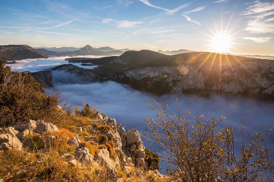 France, Alpes de Haute-Provence, regional natural reserve of Verdon, Grand Canyon of Verdon, cliffs seen by the belvedere of the Dent d'Aire, morning autumn fogs