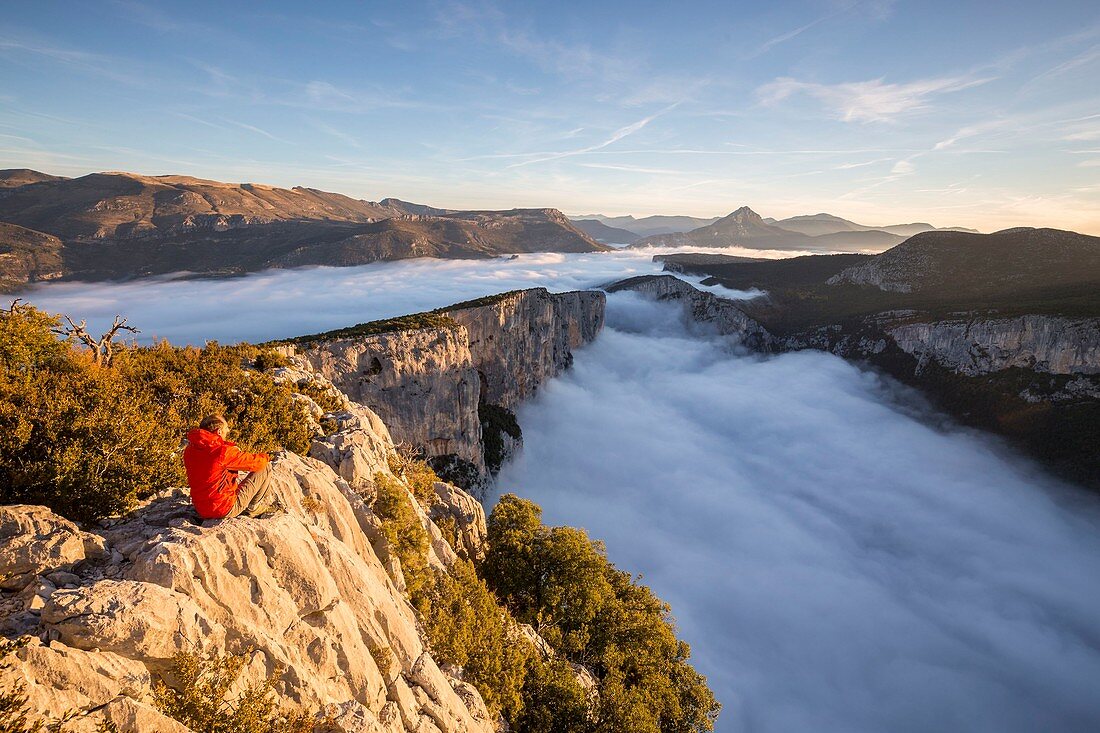 Frankreich, Alpes-de-Haute-Provence, Regionaler Naturpark Verdon, Grand Canyon von Verdon, Klippen der Barres de l'Escalès vom Aussichtspunkt Dent d'Aire aus gesehen, morgendlicher Herbstnebel