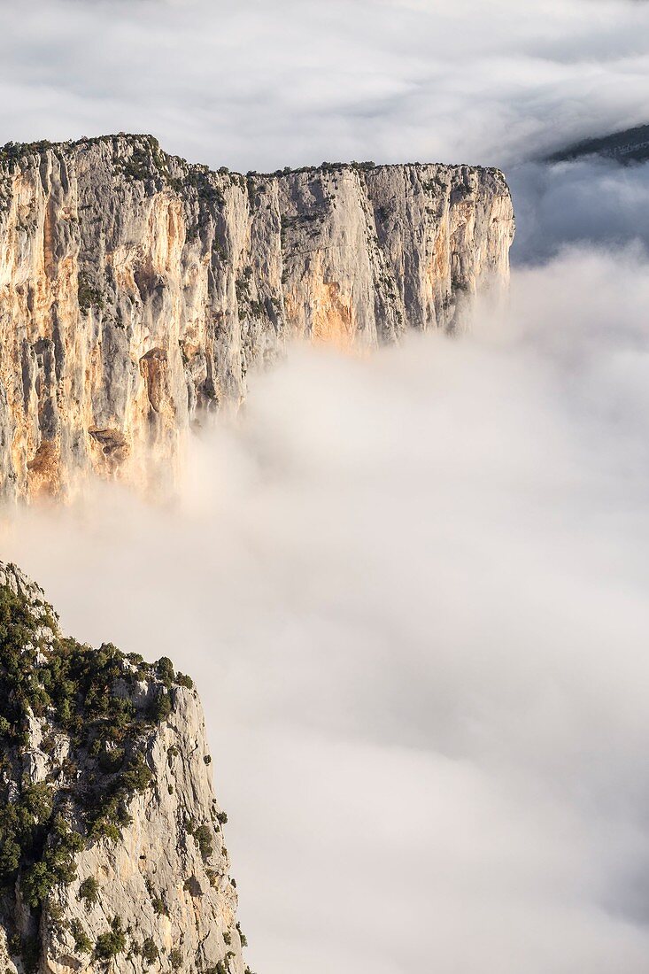 France, Alpes de Haute-Provence, regional natural reserve of Verdon, Grand Canyon of Verdon, cliffs of the Barres of Escalès, morning autumn fogs