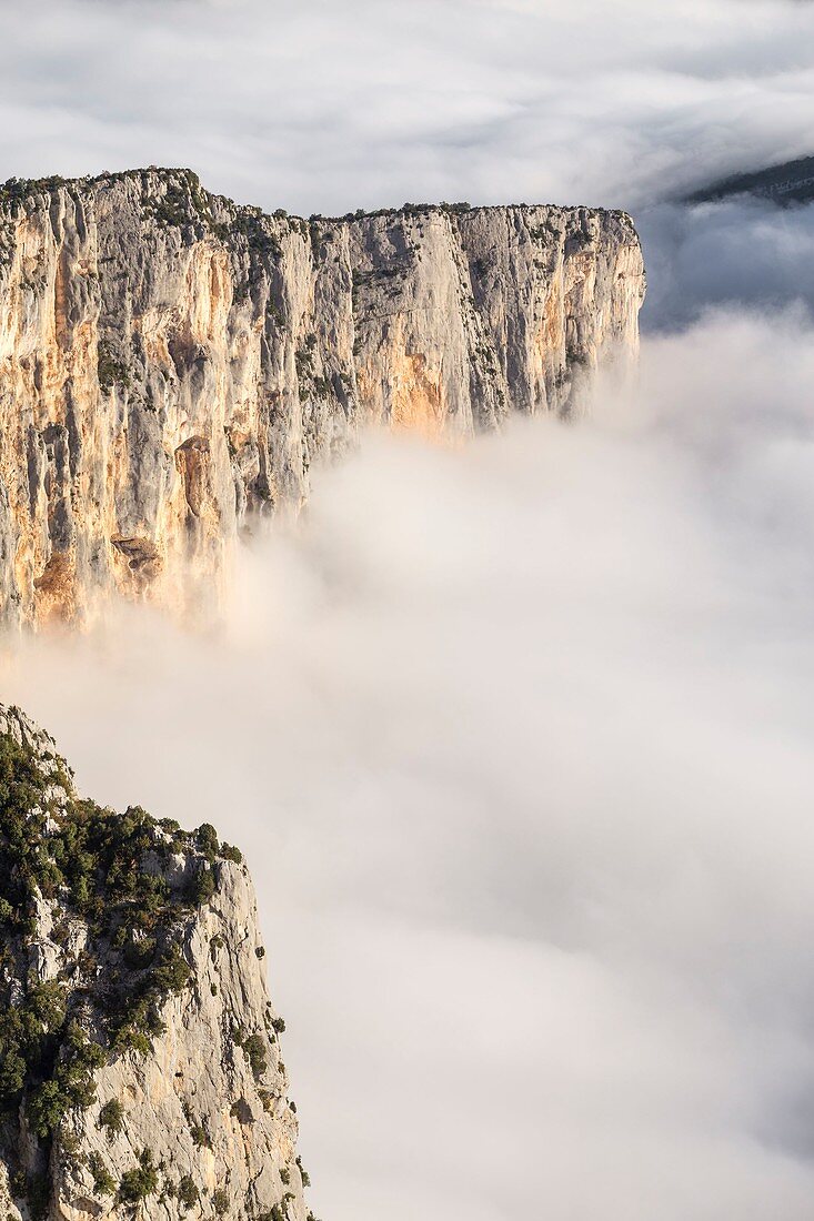 Frankreich, Alpes-de-Haute-Provence, Regionaler Naturpark Verdon, Grand Canyon von Verdon, Steilküste der Barres de l'Escalès, morgendlicher Herbstnebel