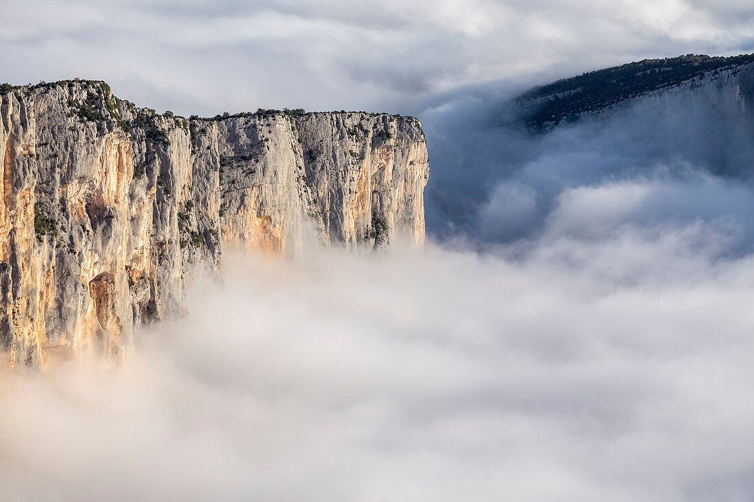 France, Alpes de Haute-Provence, regional natural reserve of Verdon, Grand Canyon of Verdon, cliffs of the Barres of Escalès, morning autumn fogs