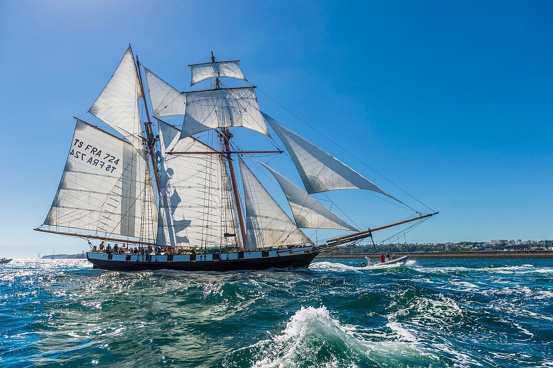 France, Finistere, Brest, Brest 2016 International Maritime Festival, large gathering of traditional boats from around the world, every four years for a week, The Recouvrance is a replica gaff rigged schooner, ambassador boat and property of the city of Brest