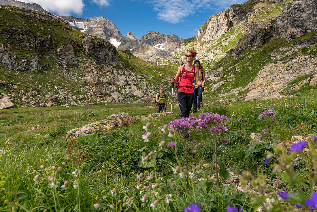 Randinascia, Blumen und Wanderer, Trekking del Laghetti Alpini, Tessin, Schweiz