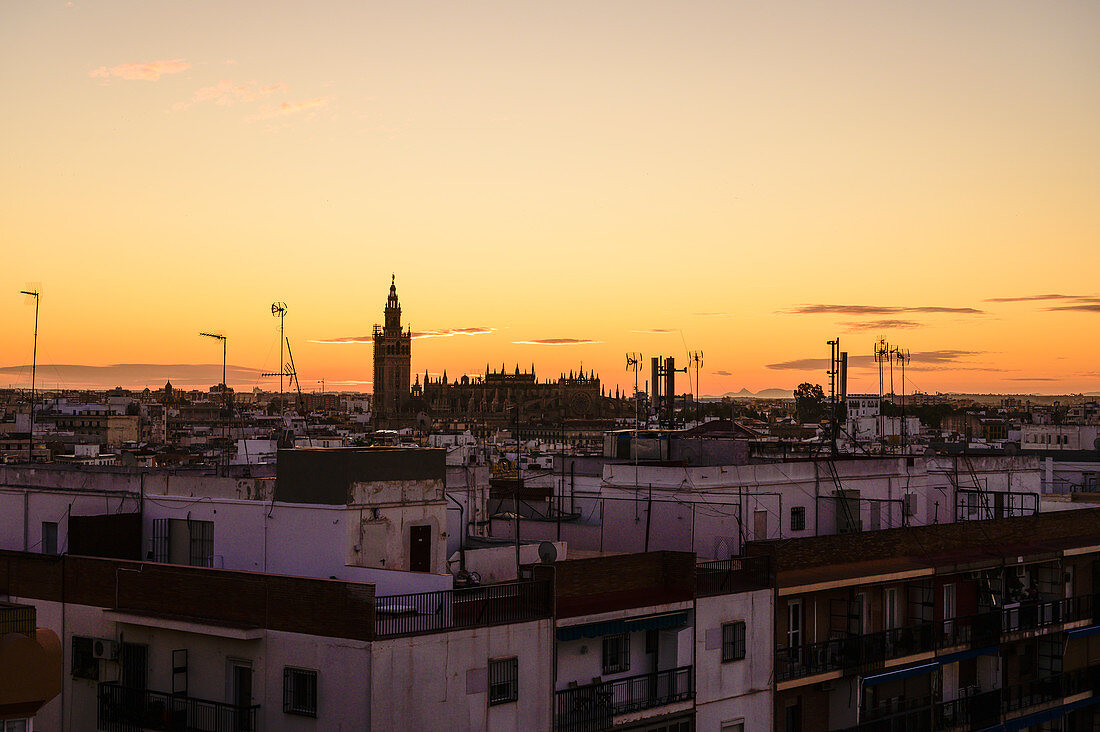 Stadtbild mit dem Glockenturm Giralda bei Sonnenuntergang in Sevilla, Spanien
