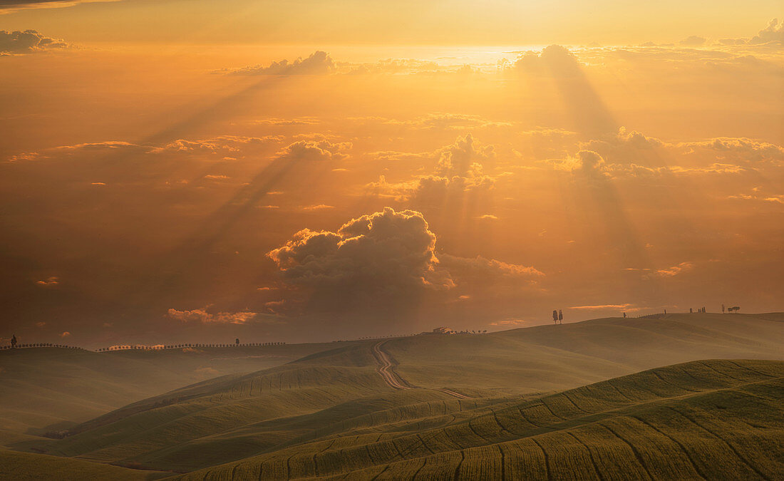 Hügel bei Sonnenuntergang in der Toskana, Italien