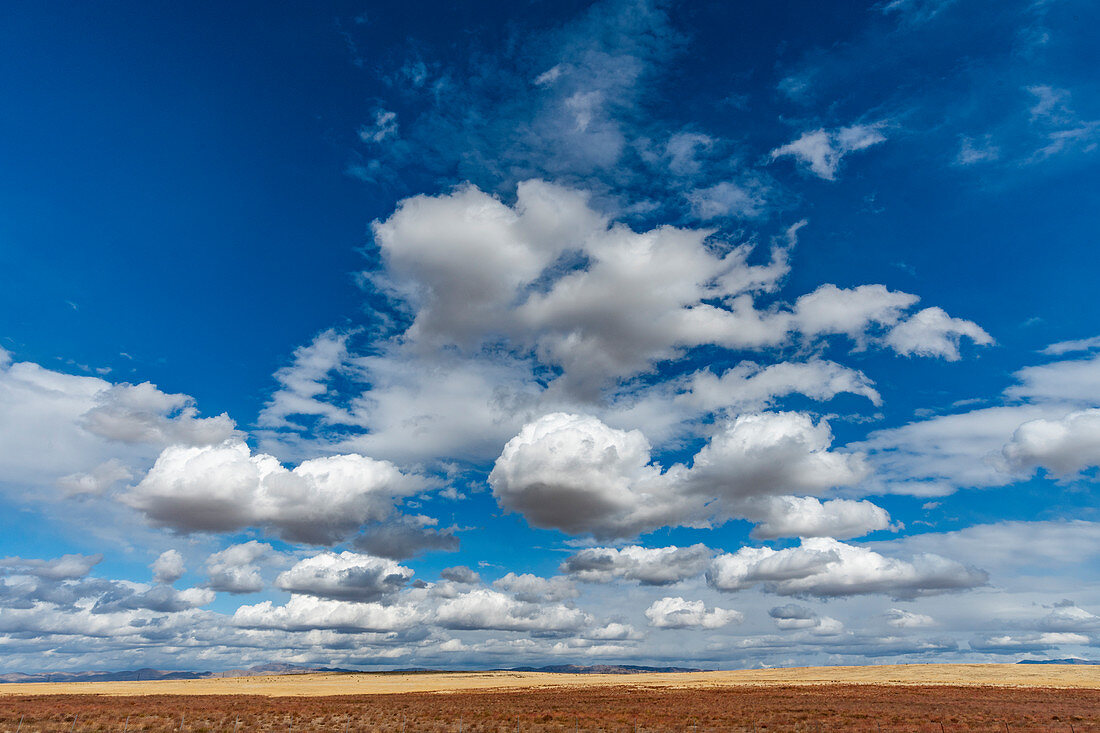 Feld unter Wolke