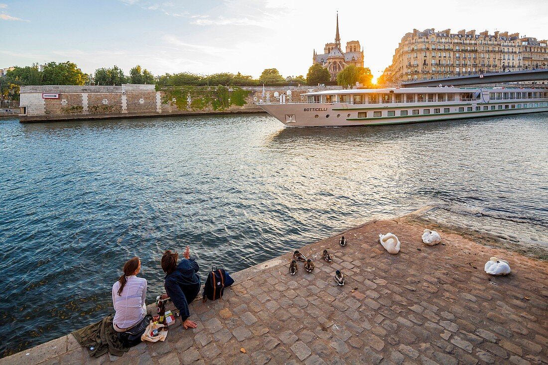 Frankreich, Paris, UNESCO-Weltkulturerbegebiet, Picknick bei Sonnenuntergang auf der Insel Saint Louis mit Blick auf die Kathedrale Notre Dame