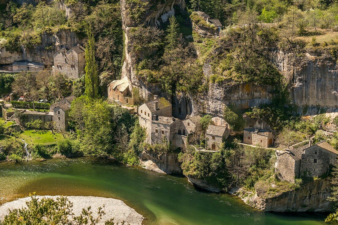 France, Lozere, the Causses and the Cevennes, Mediterranean agro pastoral cultural landscape, listed as World Heritage by UNESCO, Castelbouc in the Gorges du Tarn, Saint Enimie