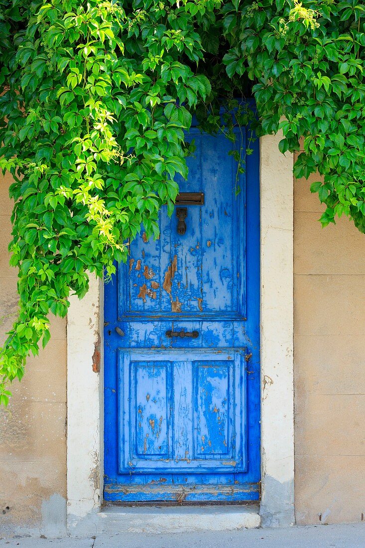 France, Bouches du Rhone, Pays d'Aix, Puyloubier