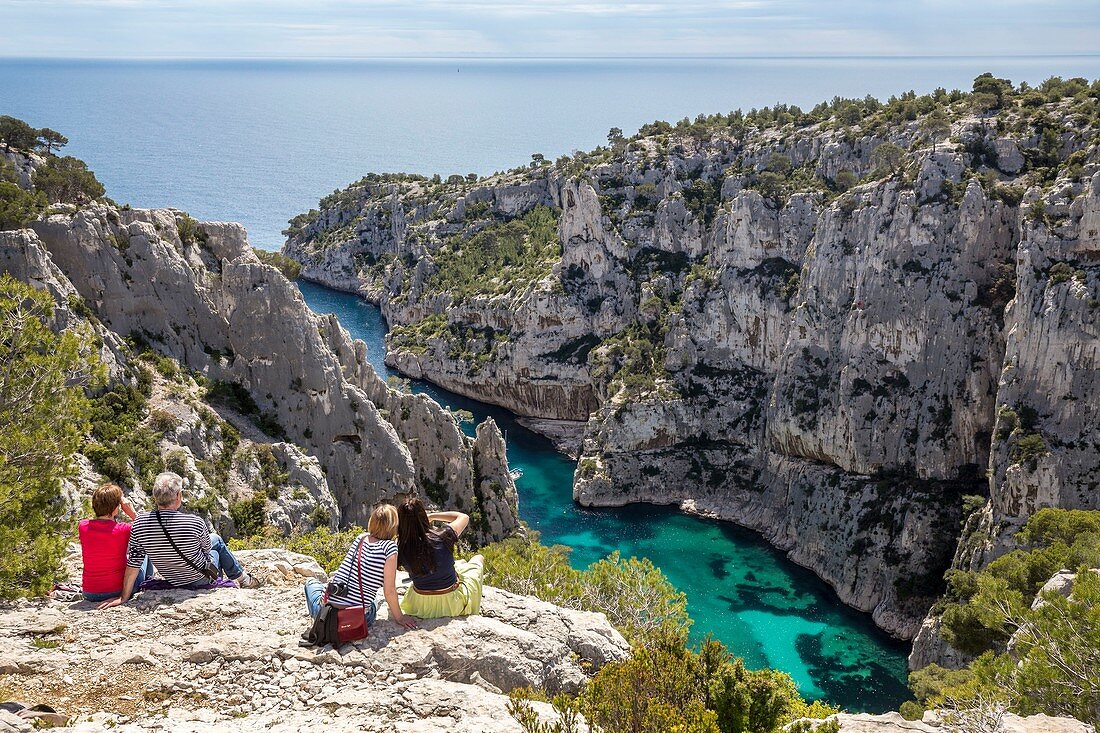 France, Bouches-du-Rhône, National park of Calanques, Marseille, 9th district, creek of En-Vau